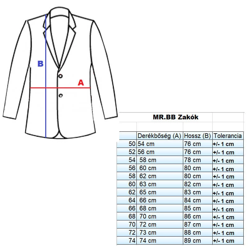 mr-bb-zako2