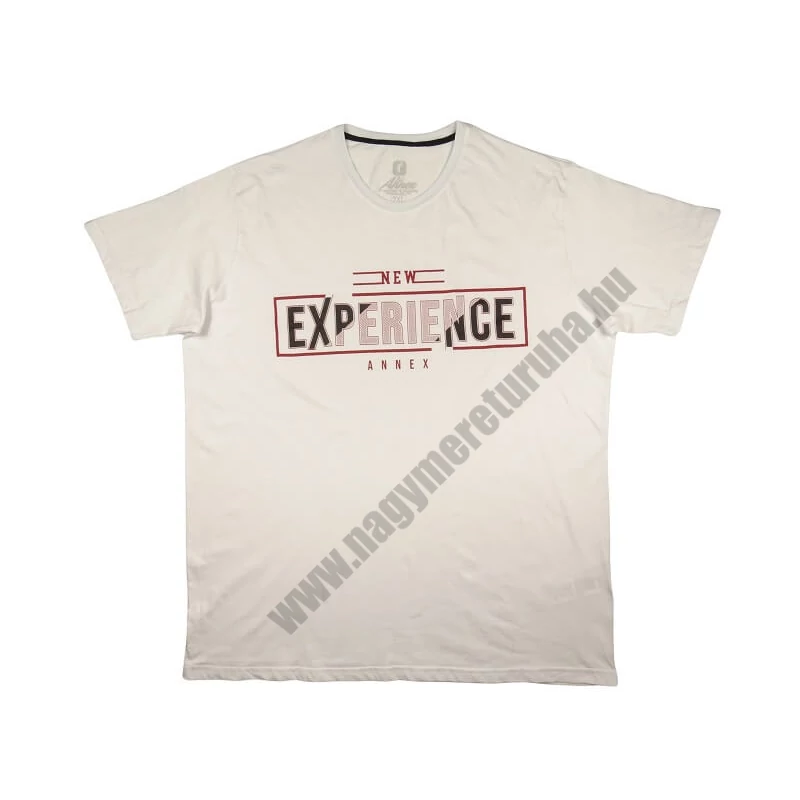 2XL-6XL méretű A.Experience fehér nagyméretű férfi rövid ujjú póló 100% prémium pamutból. Rendeljen kényelemesen, gyors szállítással!1