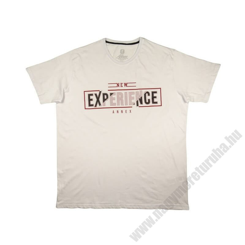 2XL-6XL méretű A.Experience fehér nagyméretű férfi rövid ujjú póló 100% prémium pamutból. Rendeljen kényelemesen, gyors szállítással!1