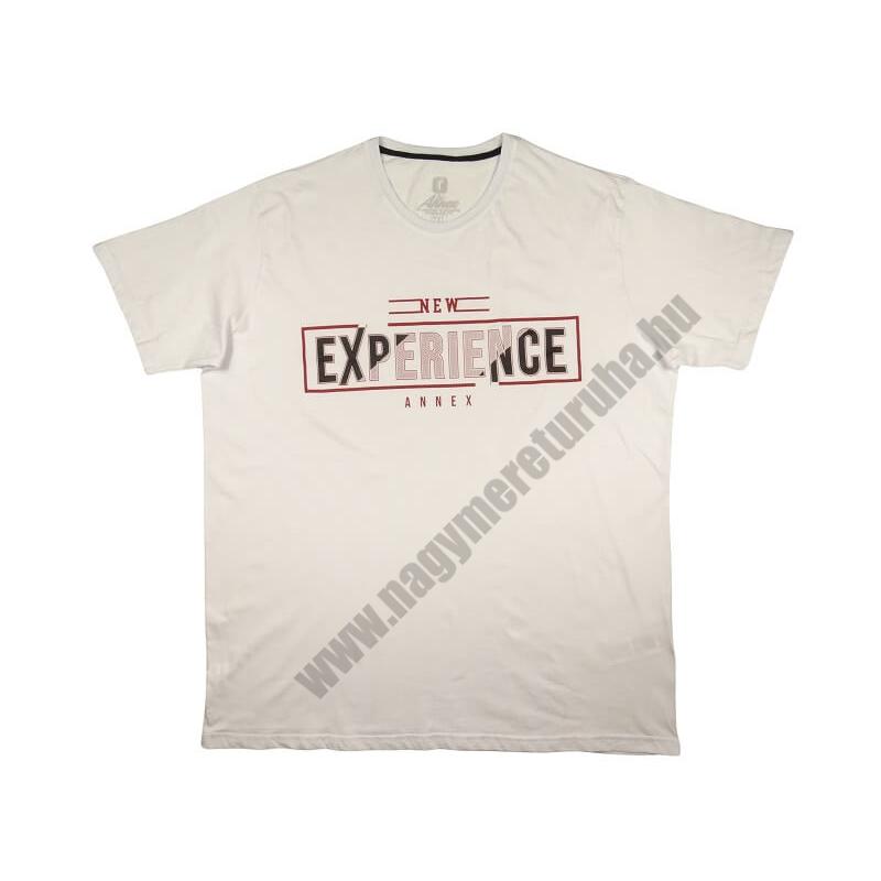 2XL-6XL méretű A.Experience fehér nagyméretű férfi rövid ujjú póló 100% prémium pamutból. Rendeljen kényelemesen, gyors szállítással!1
