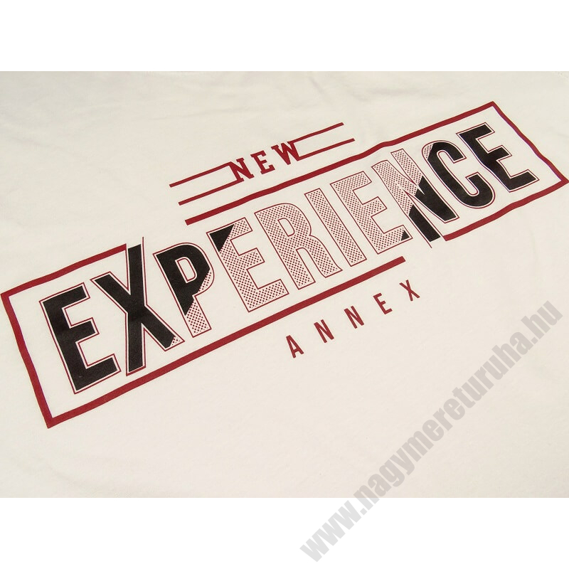 2XL-6XL méretű A.Experience fehér nagyméretű férfi rövid ujjú póló 100% prémium pamutból. Rendeljen kényelemesen, gyors szállítással!2