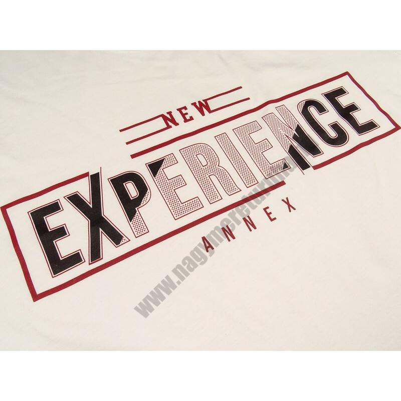 2XL-6XL méretű A.Experience fehér nagyméretű férfi rövid ujjú póló 100% prémium pamutból. Rendeljen kényelemesen, gyors szállítással!2