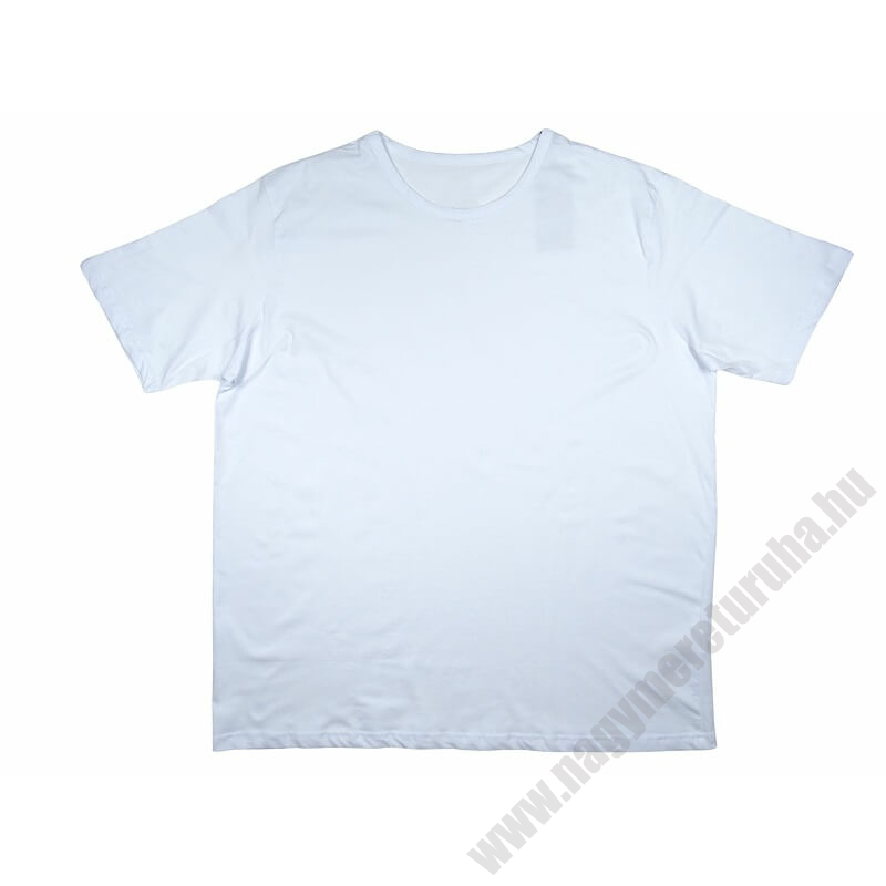 2XL-6XL méretű A.Fehér sima nagyméretű férfi rövid ujjú póló 100% prémium pamutból a kényelmes hétköznapokra. Rendeljen online, pár kattintással vagy jöjjön el hozzánk személyesen!1