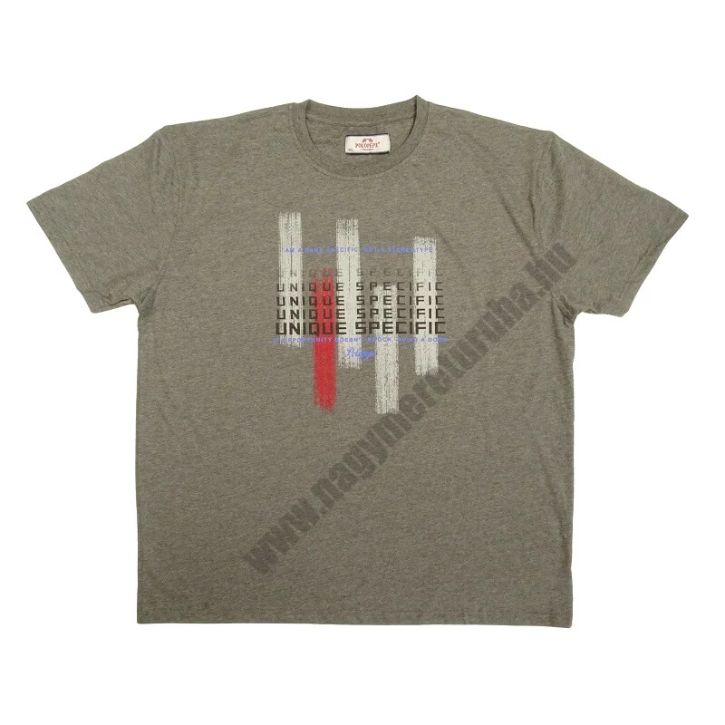 Nyári 3XL,4XL,5XL,6XL-nagyméretű férfi rövid ujjú póló szürke színben, divatos feliratokkal. Prémium minőségű 100% pamutból a kényelmes hétköznapokra. Rendeljen online, pár kattintással vagy jöjjön el hozzánk!