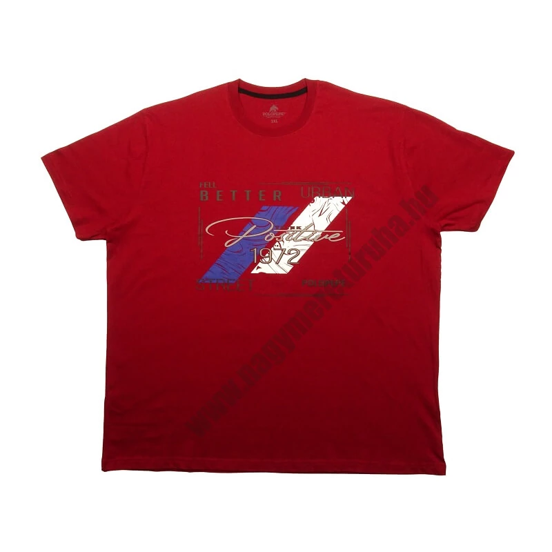 Férfi 3XL,4XL,5XL,6XL-nagy méretű póló bordó színben, inspiráló színes mintával és felirattal. 100% prémium minőségű pamutból. Rendeljen online, pár kattintással vagy jöjjön el hozzánk személyesen!1