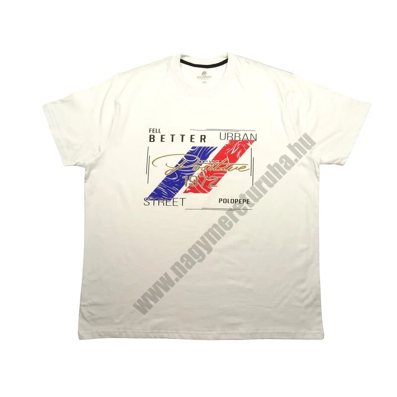 Férfi 3XL,4XL,5XL,6XL-nagy méretű póló fehér színben, inspiráló színes mintával és felirattal. 100% prémium minőségű pamutból. Rendeljen online, pár kattintással vagy jöjjön el hozzánk személyesen!1