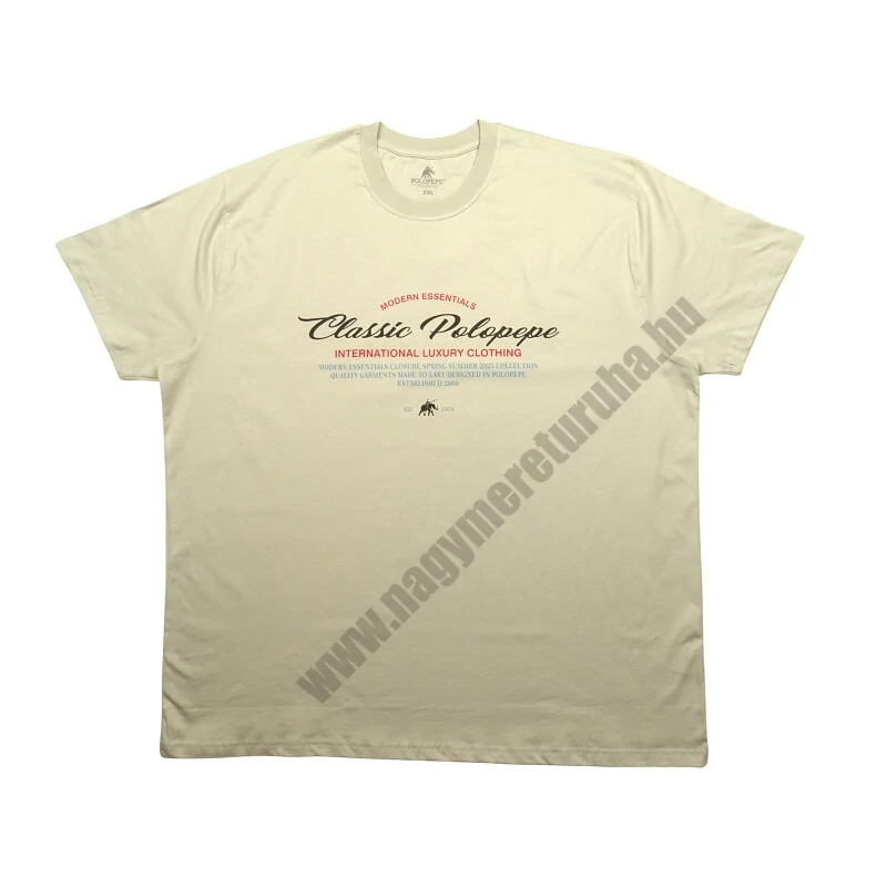 Férfi 3XL,4XL,5XL,6XL-nagyméretű rövid ujjú póló szürke színben, divatos színes felirattal. 100% prémium minőségű pamutból. Rendeljen online, pár kattintással vagy jöjjön el hozzánk személyesen!1